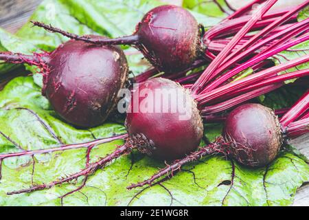 Rote Bete Knollen mit grünen Blättern auf Holztisch. Zubereitung von frischem Salat. Frisches Gemüse für vegetarische Küche. Rüben auf dem Straßenmarkt. Stockfoto