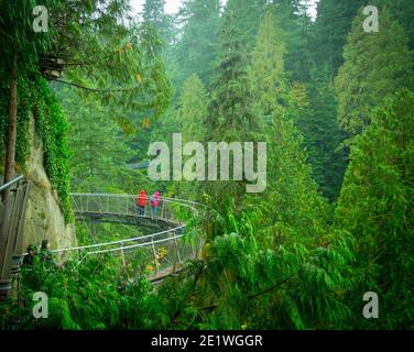 Der Cliffwalk Attraktion am Capilano Suspension Bridge Park in North Vancouver, British Columbia, Kanada Stockfoto