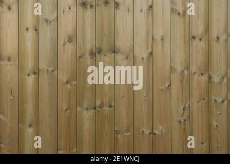 Hintergrund oder Textur von Tanalisiertem Redwood Shiplap Holz Verkleidung der Außenseite eines Gebäudes in Rural Devon, England, Großbritannien Stockfoto