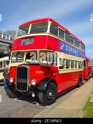 Vintage Rot und Creme Bristol K5G Doppeldeckerbus mit Corona Anzeige. Stockfoto