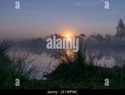 Moorsee, neblige Moorlandschaft mit Sumpfkiefern und traditioneller Moorvegetation, verschwommener Hintergrund, Nebel im Moor, Dämmerung, Dikli, Madiesenu Moor, Lettland Stockfoto