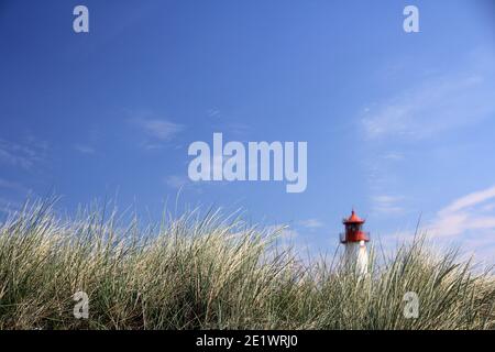 Leuchtturm im Hintergrund Stockfoto