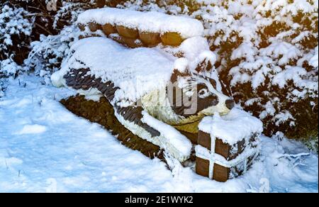 DAVA WAY ODER TRAIL MORAY SCHOTTLAND SCHNEEBEDECKTE HOLZSKULPTUR VON JESS DEM COLLIE HUND ENTLANG DER WANDERUNG Stockfoto