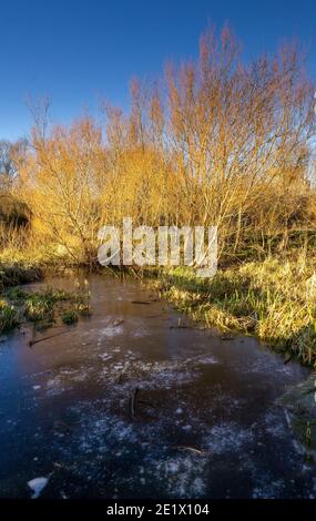 Eis am Loch im Figgate Park Edinburgh, Schottland, Großbritannien Stockfoto