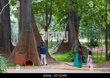 Pondicherry, Indien - Dezember 2020: Der Botanische Garten. Stützwurzeln eines dipterocarp Baumes. Stockfoto