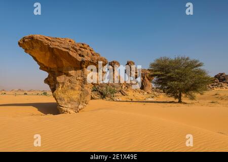 Erodierte, zerklüftete Felsformationen, Ennedi-Plateau, Tschad Stockfoto