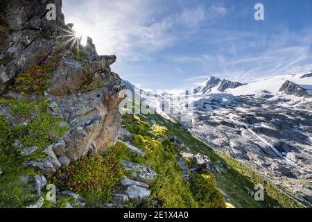 Glacier du Tour, Gletscher und Berggipfel, Hochalpine Landschaft, Aiguille de Chardonnet, Chamonix, Haute-Savoie, Frankreich Stockfoto