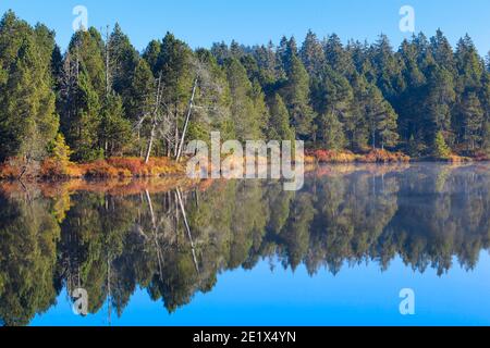 Etang de la Gruere, Mirensee, Kanton Jura, Schweiz Stockfoto