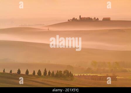 Nebliger Morgen Toskana Val d'orcia San Quirico d'orcia in der Nähe von Pienza Italien EU Europa Stockfoto