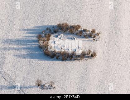 Bruchsal, Deutschland. Januar 2021. Eine Gruppe von Bäumen in Form eines Hufeisens kann auf einem schneebedeckten Feld in der Nähe von Bruchsal gesehen werden (Luftaufnahme aus einem Flugzeug). Quelle: Uli Deck/dpa/Alamy Live News Stockfoto