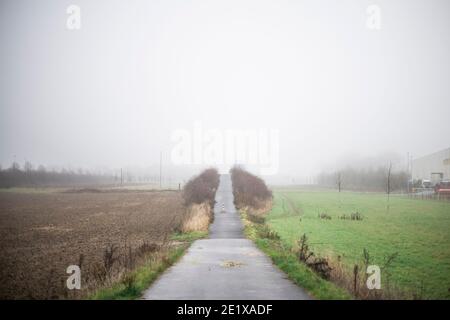 Köln, Fühlingen, 09.01.21: Winterstimmung in Köln-Nord, ein einsamer Weg führt über eine Brücke in den Nebel rein. Stockfoto