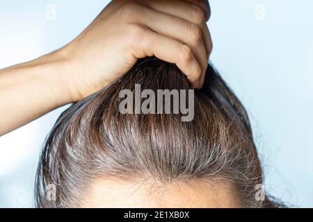 Kopf der kaukasischen Frau mittleren Alters mit schwarz grauen Haarwurzeln. Nahaufnahme Stockfoto