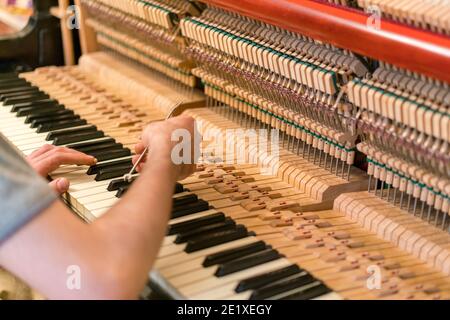 Klaviertuning-Prozess. Nahaufnahme der Hand und Werkzeuge des Tuners, der am Flügel arbeitet. Detailansicht des aufrechten Klaviers während einer Stimmung Stockfoto