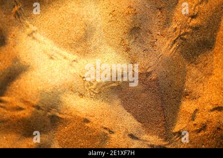 Foto Hintergrund von goldenem Sand am Strand am Nachmittag. Beispiel für eine Sandstruktur am Strand für eine Reise-Website Stockfoto