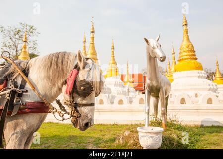 Eine weiße Pferdekutsche steht vor der weißen Pferdestatue im Wat Chedi Sao Tempel, Lampang, Pferdekutschenstadt in Thailand. Selektiver Fokus. Stockfoto