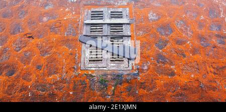 Abstrakte orange Flechte wächst auf alten Steinmauer und Holzfenster des Wat Sampov Tempel, Kambodscha. Selektiver Fokus. Stockfoto