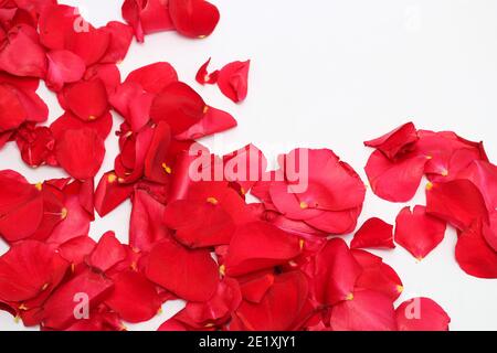 Valentinstag. Blumenzusammensetzung. Runder Rahmen aus Rosenblüten Stockfoto