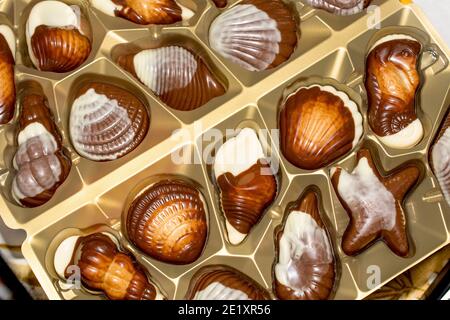 Belgische Schokolade Bonbons Seashells. Beste Qualität Stockfoto