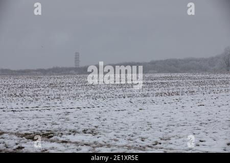 Warlingham, Surrey, Großbritannien. Januar 2021. Nach dem Schneefall vor drei Tagen sind die Temperaturen nicht über den Gefrierpunkt gestiegen, daher ist es nicht geschmolzen und die Bäume glitzern mit dem Eis in Limpsfield, Surrey. Die Prognose für heute ist 1C mit leichter Wolke und leichtem Wind. Kredit: Keith Larby/Alamy Live Nachrichten Stockfoto