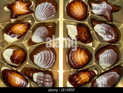 Belgische Schokolade Bonbons Seashells. Beste Qualität Stockfoto