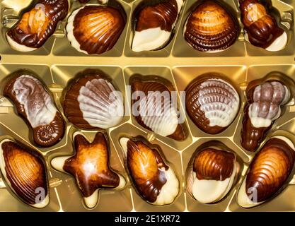 Belgische Schokolade Bonbons Seashells. Beste Qualität Stockfoto