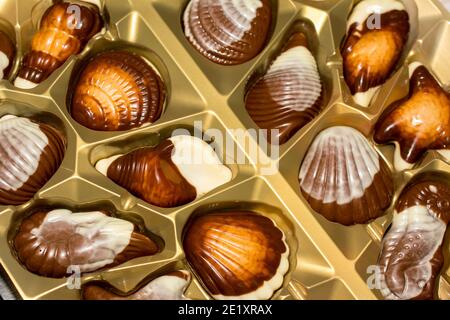 Belgische Schokolade Bonbons Seashells. Beste Qualität Stockfoto