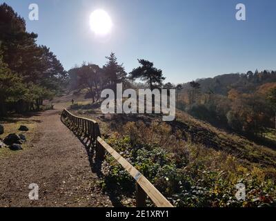 Lickey Hills Country Park, Lickey, Cofton Hackett, Barnt Green Stockfoto