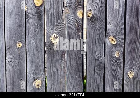 Wandbeplankung aus Holz. Textur von grauen Holzzaun. Hintergrund der alten Holzplanken rustikal. Verwitterte Holzoberfläche. Nahaufnahme von grunge verblassten Wildschweinen Stockfoto