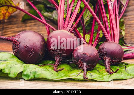 Rote Bete Knollen mit grünen Blättern auf Holztisch. Zubereitung von frischem Salat. Frisches Gemüse für vegetarische Küche. Rüben auf dem Straßenmarkt. Stockfoto