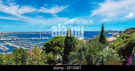 Panoramablick auf den Hafen in Cannes in einem schönen Sommertag, Frankreich Stockfoto