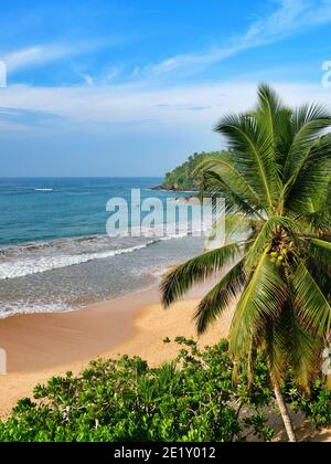 MIRISSA, SRI LANKA - 16. März 2019: Sandstrand in Mirissa und blauer Himmel im Hintergrund. Blick vom Paradise Beach Club Hotel. Stockfoto