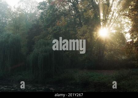 Oktober im Park, Herbstmorgen am Teich, aufgehende Sonne hinter dem Baum, Sonnenschein, Sonnenstrahlen und bunte Blätter Stockfoto