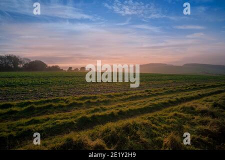 Blick über Ackerland bis zur Küste von der schönen Sussex Downs, Großbritannien Stockfoto