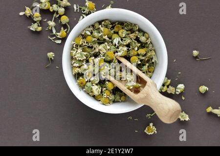 Kamille getrockneter Kräuterblütentee in einer weißen Schüssel auf dunklem Hintergrund mit Blüten und Knospen in der Nähe, Nahaufnahme, Kopierraum, flach legen, von oben über Kopf t Stockfoto