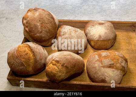 Rustikales Landbrot, sechs gut gekochte Brote in einem Holztablett Stockfoto