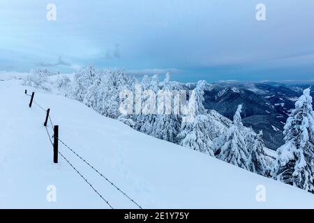 Zaun und schöne schneebedeckte Bäume in einem alpinen Ski Resort Stockfoto