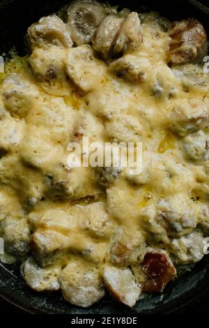 Gelb-schwarzer Hintergrund. Food Hintergrund. Warmes Essen. Gebratene Knödel in einer Pfanne mit cremiger Sauce und mit Käse bedeckt. Lecker und gesund hausgemacht Stockfoto