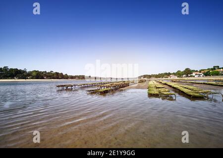 Blick auf den Austernpark in Hossegor, Landes, Frankreich Stockfoto