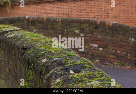 Blick auf moosbedeckte Backsteinbrücke mit Ziegelmauer Hintergrund mit Copyspace Stockfoto