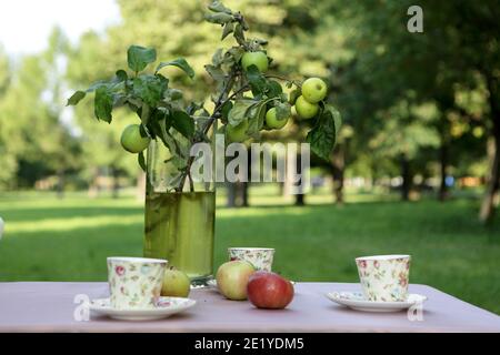 Teeset auf dem Tisch im Sommerpark Stockfoto