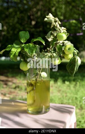 Apfelzweig in Dekanter auf Tisch im Park Stockfoto