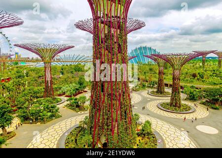 Tropische Blumenkletterer werden auf den Supertrees im Marina Gardens Drive gepflanzt. Der Naturpark erstreckt sich über 101 Hektar. Singapur. Stockfoto