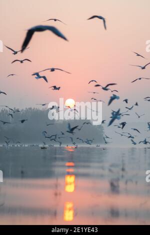 Dies ist, was ein typischer Sonnenaufgang sieht in der yamuna Ghat in delhi. Stockfoto