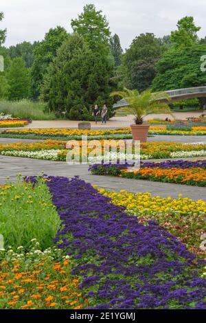 Rheinpark, Köln, 92660 Stockfoto