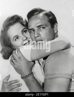 Mary Murphy, Marlon Brando, 'The Wild One' (1954) Columbia / Aktenzeichen # 34082-037THA Stockfoto
