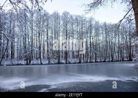 Gefrorener Teich im Wald mit Schnee bedeckt Stockfoto