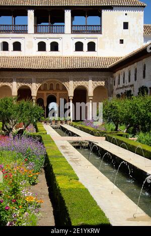 Wassergarten Innenhof im Generalife Sommerpalast in der Alhambra Granada Andalusien Spanien Sommer 2019 Stockfoto