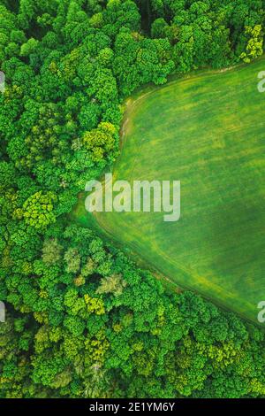 Luftaufnahme Frühling Grünfeld Und Waldlandschaft. Draufsicht Auf Feld- Und Waldgürtel. Vogelperspektive Stockfoto