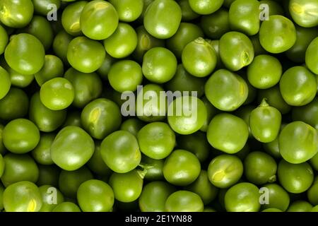 Makro von frischen schneegrünen Erbsen, Hintergrund und Textur. Gesunde Vitaminnahrung. Stockfoto