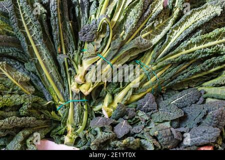 Lacinato-Grünkohl, Cavolo nero-Grünkohl oder Tuscan-Grünkohl zum Verkauf an einem Imbissstand auf dem Rialto-Markt in Venedig, Italien Stockfoto